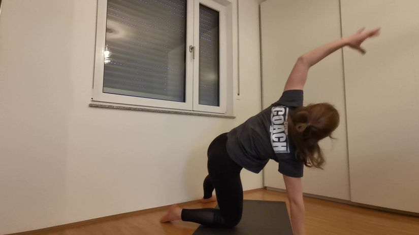 Home Mobility Part II (Kostenlos)